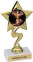 7 inch Star Color Insert Trophy