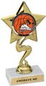 Star Color Insert Trophy