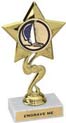 Star Color Insert Trophy