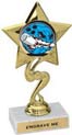 Star Color Insert Trophy
