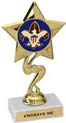 Star Color Insert Trophy