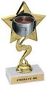 7 inch Star Color Insert Trophy