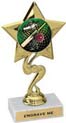 Star Color Insert Trophy