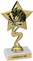 7 inch Star Color Insert Trophy