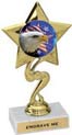 Star Color Insert Trophy