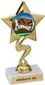 Star Color Insert Trophy