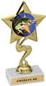 Star Color Insert Trophy