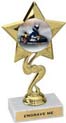 Star Color Insert Trophy