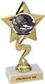 Star Color Insert Trophy