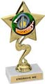 Star Color Insert Trophy