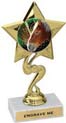 Star Color Insert Trophy