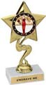 Star Color Insert Trophy