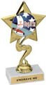 Star Color Insert Trophy