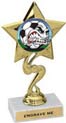 Star Color Insert Trophy
