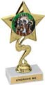Star Color Insert Trophy