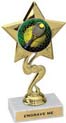 Star Color Insert Trophy
