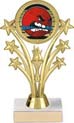 7 inch Shooting Stars Color Insert Trophy