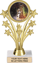 Shooting Stars Color Insert Trophy