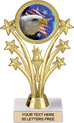 Shooting Stars Color Insert Trophy