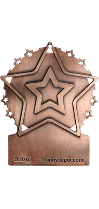 Front Facing Plate Star Insert Medal- Bronze