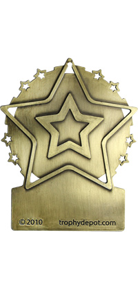 2014 Front Facing Plate Star Insert Medal- Gold