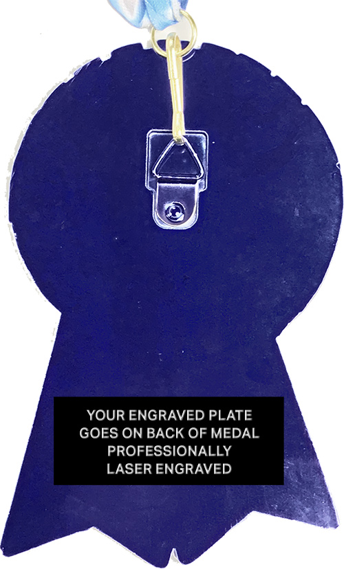 Diecast Blue Ribbon Insert Medal