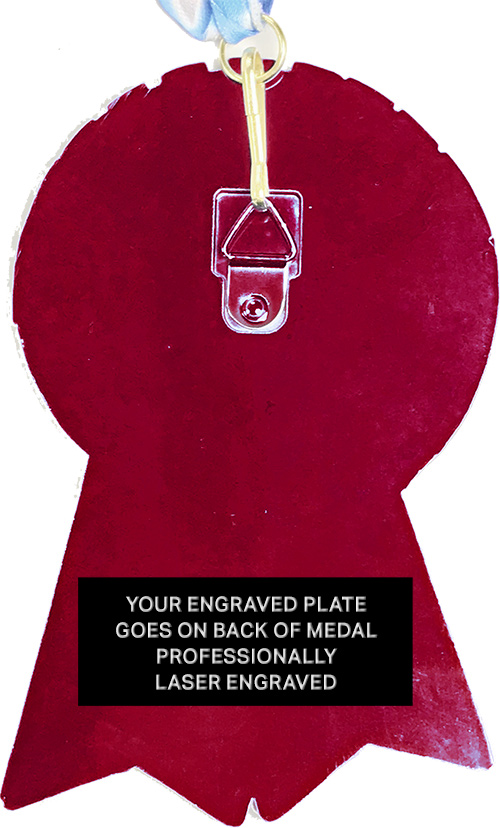 Diecast Red Ribbon Insert Medal