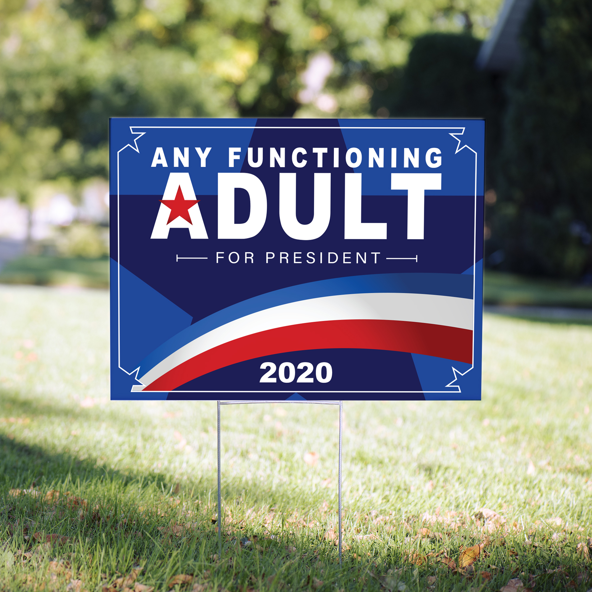 ANY FUNCTIONING ADULT for President Political Yard Sign - 24 x 18 inch