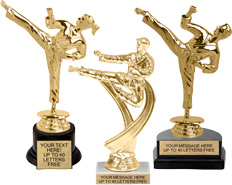VETRO Arti Marziali Trophy Award nel 4 dimensioni con incisione gratuita fino a 30 Lettere 
