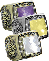 Champion Championship Rings with Faux Stone