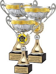 Two-Tone Silver and Gold Insert Trophy Cups