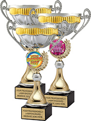 Two-Tone Silver and Gold Custom Insert Trophy Cups