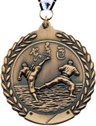 Martial Arts Wreath Framed Medal