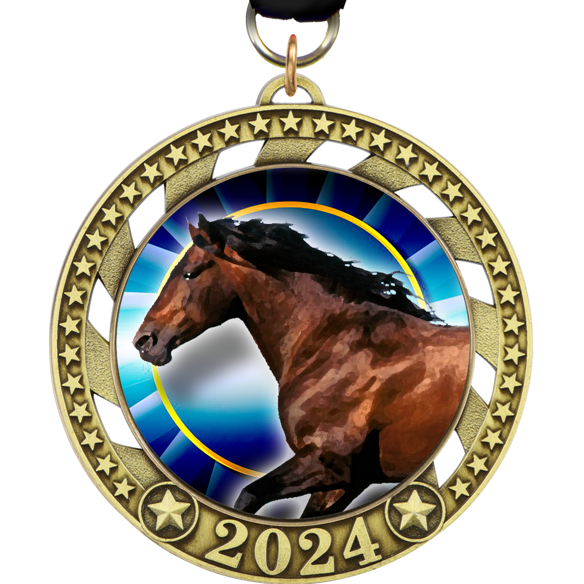 2024 Star Ray Insert Medals