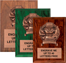 Army Bronze Resin Plaques