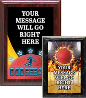 Dodgeball ColorPlate Plaques