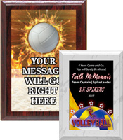 Volleyball ColorPlate Plaques