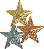 Star Chenille Pins