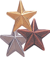 1/2 inch Star Pins