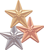 Star in a Star Pins