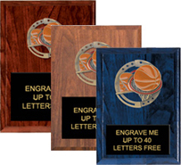 Basketball Dimensional Color Plaques