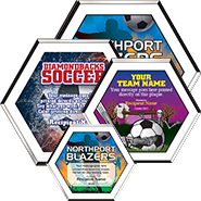 Full Color Hexagon Soccer Plaques