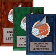 Volleyball Millennium Color Plaques