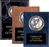 Baseball Motion Extreme Color Plaques
