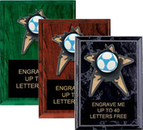 Soccer Spring Action Plaques