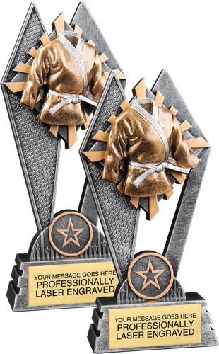 Martial Arts Sun Ray Trophies