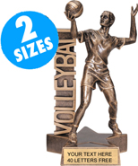 Volleyball Billboard Resin Trophies [Male]