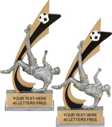 Soccer Painted Banner Resin Trophies