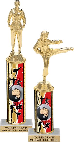Martial Arts Glass trophy Award in 4 Sizes with FREE Engraving up to 30 Letters 