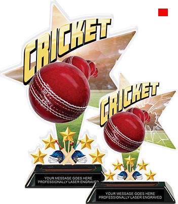 Cricket Shattered Star Colorix Acrylic Trophies